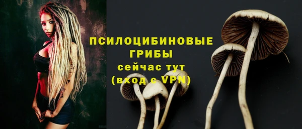 гашиш Арсеньев