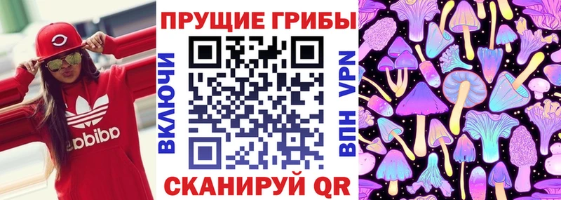 Псилоцибиновые грибы мицелий  наркошоп  Салаир 